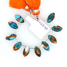 Copper Spiny Oyster with Turquoise Drops Marquise Shape 11x6mm Drilled Bead Line of 10