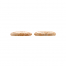 Fossil Coral Cab Oval 26x18mm Matching Pair 40.35 Carat