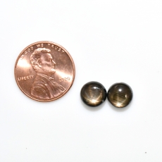 Black Star Sapphire Cab Round 8.25mm Approximately 6.00 Carat Matching Pair