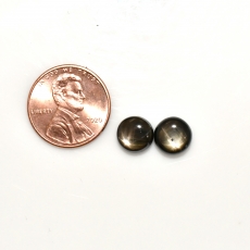 Black Star Sapphire Cab Round 8.5mm Approximately 6.00 Carat Matching Pair