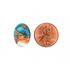 Copper Spiny Orange Oyster and Turquoise Cab Oval 18X13mm Single Piece Approximately 9 Carat.