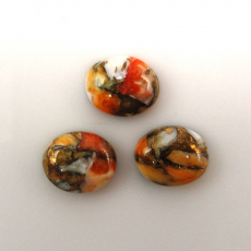 Copper Spiny Orange Oyster Cab Oval 11X9mm Approximately 10 Carat.