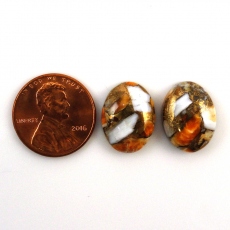 Copper Spiny Orange Oyster Cab Oval 16X12mm Matching Pair 17 Carat.
