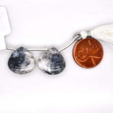 Dendrite Opal Drops Heart Shape 17x17mm Drilled Bead Matching Pair