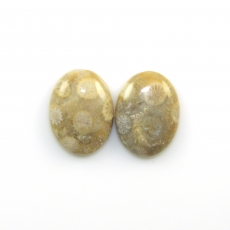Fossil Coral Cabs Oval 20x15mm Matching Pair 23.79 Carat