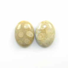 Fossil Coral Cabs Oval 20x15mm Matching Pair 28.44 Carat