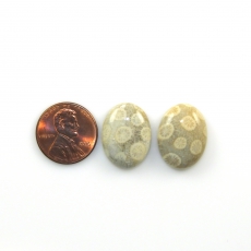 Fossil Coral Cabs Oval 20x15mm Matching Pair 28.46 Carat