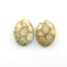 Fossil Coral Cabs Oval 20x15mm Matching Pair 28.94 Carat