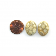 Fossil Coral Cabs Oval 20x15mm Matching Pair 28.94 Carat