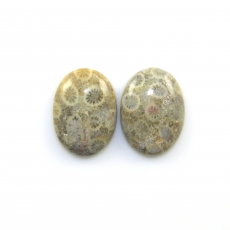 Fossil Coral Cabs Oval 22x16mm Matching Pair 29.73 Carat
