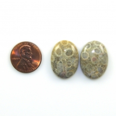 Fossil Coral Cabs Oval 22x16mm Matching Pair 29.73 Carat