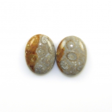 Fossil Coral Cabs Oval 22x16mm Matching Pair 30.24 Carat