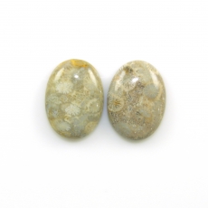 Fossil Coral Cabs Oval 22x16mm Matching Pair 32.04 Carat