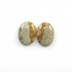 Fossil Coral Cabs Oval 22x16mm Matching Pair 32.46 Carat