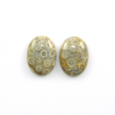 Fossil Coral Cabs Oval 22x16mm Matching Pair 33.02 Carat