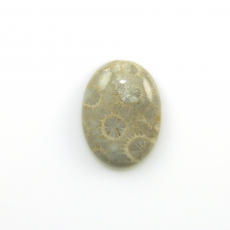 Fossil Coral Cabs Oval 22x16mm Single Piece 15.28 Carat