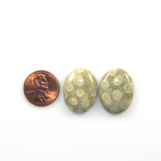 Fossil Coral Cabs Oval 23x17mm Matching Pair 35.58 Carat