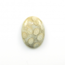 Fossil Coral Cabs Oval 25x18mm Single Piece 21.05 Carat