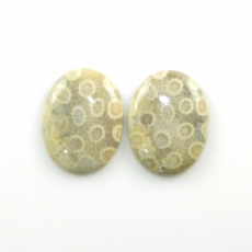 Fossil Coral Cabs Oval 30x22mm Matching Pair 53.70 Carat