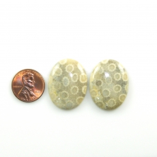 Fossil Coral Cabs Oval 30x22mm Matching Pair 53.70 Carat