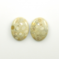 Fossil Coral Cabs Oval 30x22mm Matching Pair 62.10 Carat