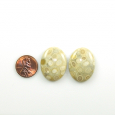 Fossil Coral Cabs Oval 30x22mm Matching Pair 62.10 Carat