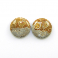 Fossil Coral Cabs Round 18mm Matching Pair 29.03 Carat