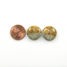 Fossil Coral Cabs Round 18mm Matching Pair 29.03 Carat