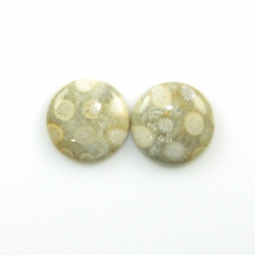Fossil Coral Cabs Round 19mm Matching Pair 28.09 Carat