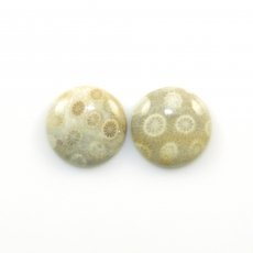 Fossil Coral Cabs Round 19mm Matching Pair 30.16 Carat
