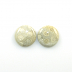 Fossil Coral Cabs Round 20mm Matching Pair 32.31 Carat