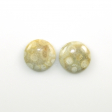 Fossil Coral Cabs Round 20mm Matching Pair 36.01 Carat
