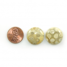 Fossil Coral Cabs Round 20mm Matching Pair 36.22 Carat