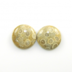 Fossil Coral Cabs Round 21mm Matching Pair 39.48 CaraT