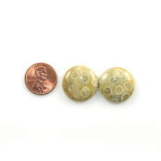 Fossil Coral Cabs Round 21mm Matching Pair 39.48 CaraT