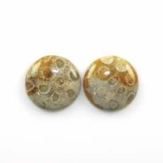 Fossil Coral Cabs Round 24mm Matching Pair 51.80 CaraT