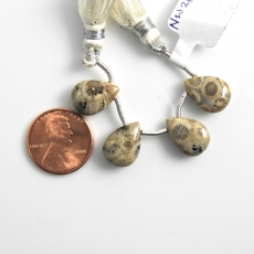 Fossil Coral Drops Almond Shape 14X10mm Drilled Beads 4 Pieces