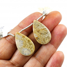 Fossil Coral Drops Almond Shape 25x15mm Drilled Beads Matching Pair