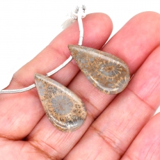 Fossil Coral Drops Almond Shape 26x14mm Drilled Beads Matching Pair