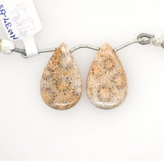 Fossil Coral Drops Almond Shape 28x18mm Drilled Bead Matching Pair