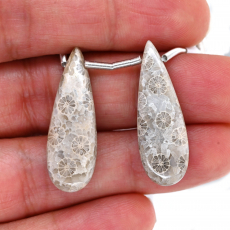 Fossil Coral Drops Almond Shape 30x10mm Drilled Bead Matching Pair