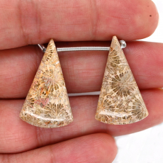 Fossil Coral Drops Conical Shape 28x17mm Drilled Bead Matching Pair