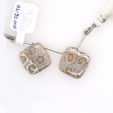Fossil Coral Drops Cushion Shape 17x17mm Drilled Bead Matching Pair