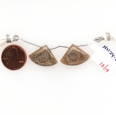 Fossil Coral Drops Fan Shape 16x22mm Drilled Beads Matching Pair
