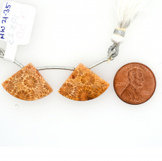 Fossil Coral Drops Fan Shape 17x23mm Drilled Bead Matching Pair