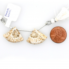 Fossil Coral Drops Fan Shape 18x24mm Drilled Bead Matching Pair