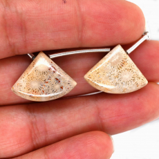 Fossil Coral Drops Fan Shape 21x16mm Drilled Bead Matching Pair