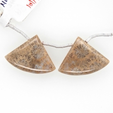 Fossil Coral Drops Fan Shape26x19mm Drilled Beads Matching Pair