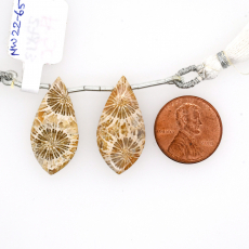 Fossil Coral Drops Leaf Shape 27x13mm Drilled Bead Matching Pair