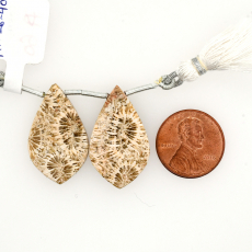 Fossil Coral Drops Leaf Shape 28x17mm Drilled Bead Matching Pair